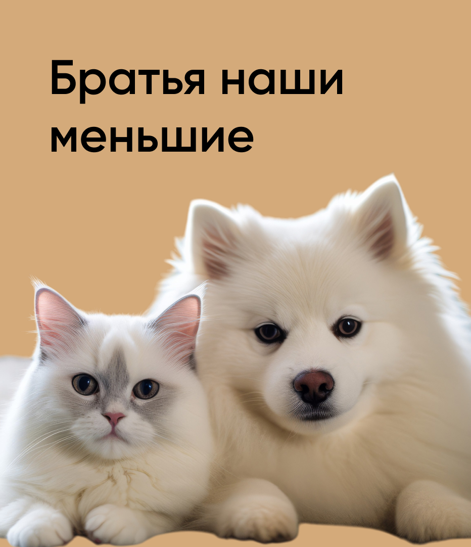 Братья наши меньшие